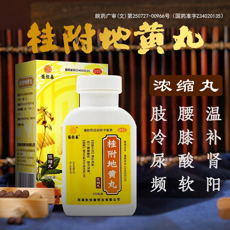 张恒春 桂附地黄丸(浓缩丸)200丸贵府的功效金匮肾气丸北京同仁堂
