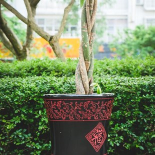 带轮花盆移动托盘 加厚轮子带滑落地带轮滑轮盆景架