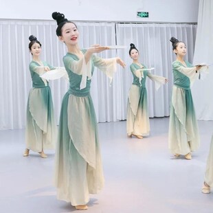 醉清波舞蹈服入莲间绿罗裙剧目儿童中国舞古典P练功服渐变纱衣套