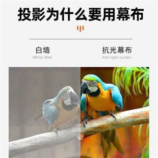 升级款布幕家用便携幕投影免打孔挂钩户外折叠黑晶高清抗光幕布