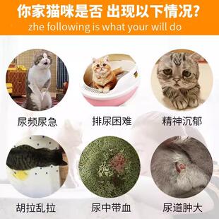 利尿XEE通猫泌尿咪尿物膀胱石结炎尿猫咪宠血泌尿通系统药尿利通