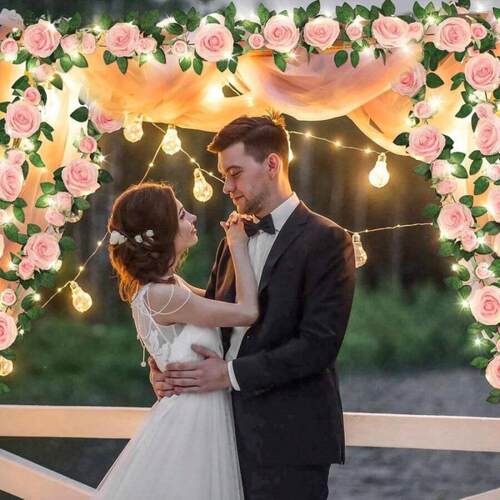 跨境Wreath Light String 2m Pink Flower Wreath Artificial