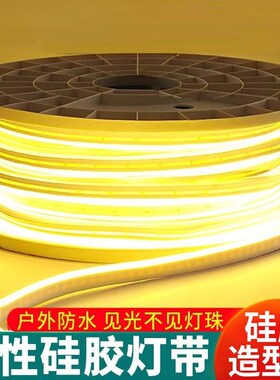 220V户外亮化ljed柔性霓虹灯带婚庆12V彩皮硅胶做字造型婚庆软灯