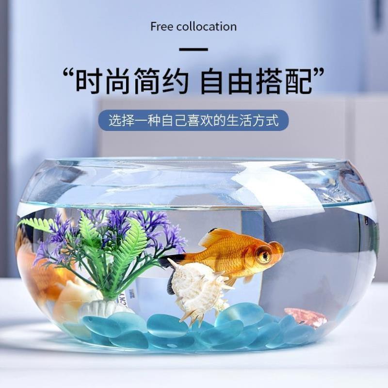 创意水族箱生态圆形玻璃金鱼缸 大号乌龟缸 迷你小型造景水培花瓶