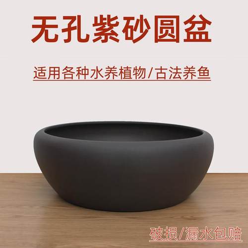 宜兴紫砂无孔古法养鱼盆水养植物盆观背青鱂鱼缸沉木假山微景观盆