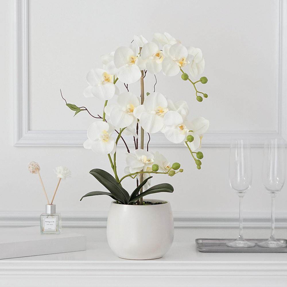 彷真蝴蝶兰盆栽套装客厅装饰摆件酒店玄关陶瓷盆绿植餐桌摆放装饰