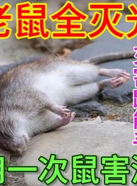 老鼠一家用药锅一闻就室外室内端强力死鼠特效驱赶老鼠神器非神药