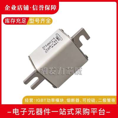 170M5138/5139/5140/5141/5142/5143/5144全新熔断器现货