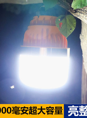 100WLED充电灯泡球泡摆摊夜市灯长续航特亮户外家用停电应急灯
