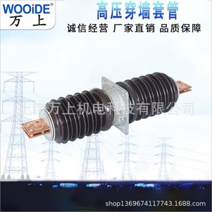 3000A高压穿墙套管 200A 高压穿墙套管35kv陶瓷套管CWB