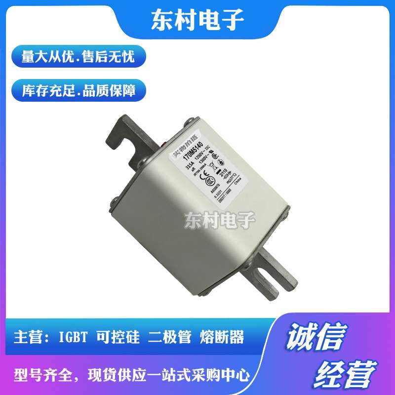 现货170M4985 170M4986 170M4987 170M4988 170M4989全新熔断器