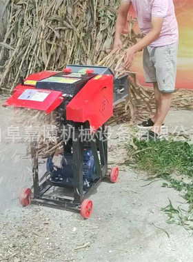 宿迁卧式链条式铡草机揉丝机家用电粉碎机220V切草机铡草揉丝机