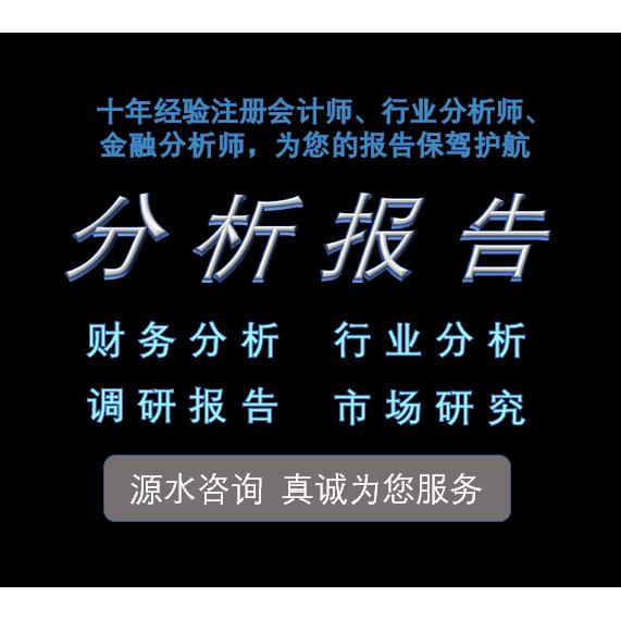 财务分析报告财务数据分析财务报表分析行业财务上市公司审计会计