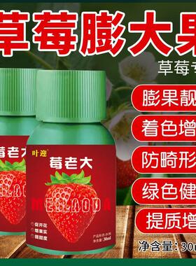 草莓专用膨大增甜剂营养液增甜增色快速膨大促花芽分化正品肥靓果