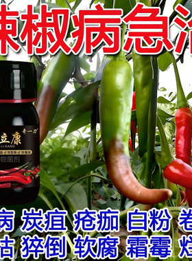 正品椒立康辣椒专用微生物菌肥青枯病根腐病毒渗透微生物菌剂通用