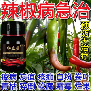 正品椒立康辣椒专用微生物菌肥青枯病根腐病毒渗透微生物菌剂通用