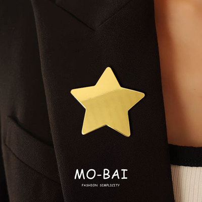 冷淡风五角星星胸针设计感小众