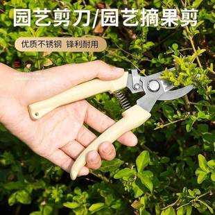园艺剪刀工具功绿修家用枝剪树枝花卉多能修剪省力方便化耐用