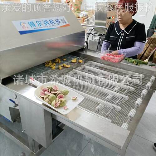 自动调速淋机巧克机力涂层甜圈裹浆涂机 冻干产品裹甜巧克力xc-60