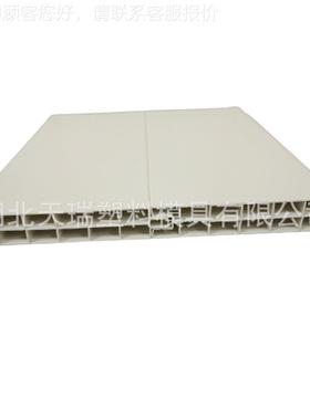 天瑞模具厂家模销直门板钢具定做PV11397C木塑挤门板出机模具