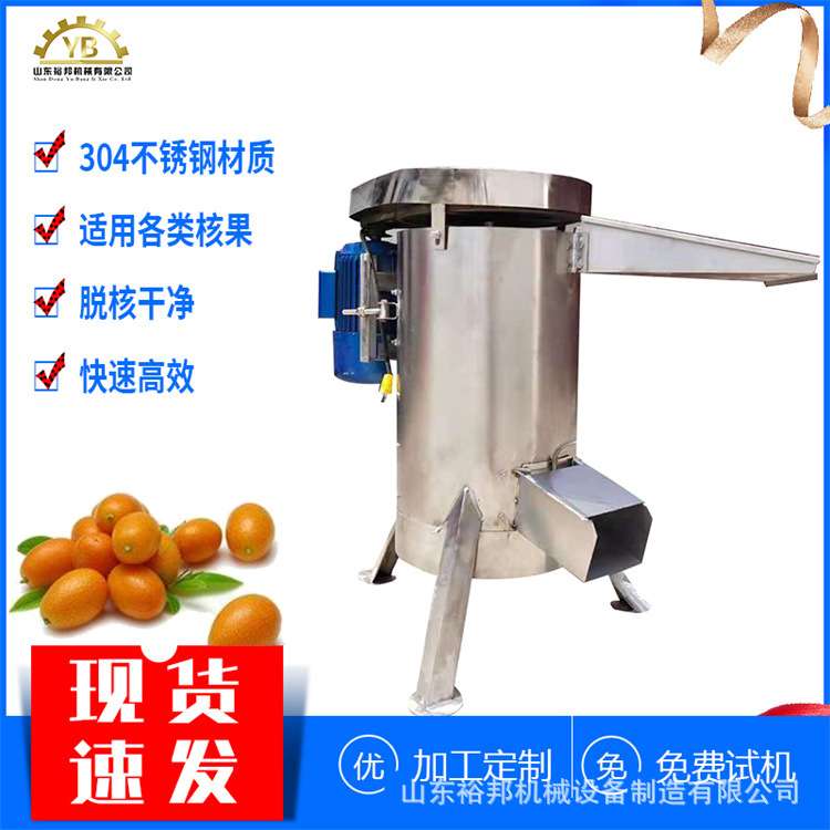 大型水果粉碎脱核机 大容量快速去核设备 樱桃芒果青核桃去核机