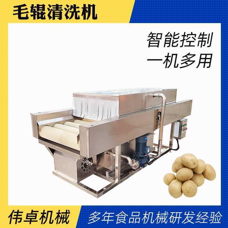 全自动莲藕去泥清洗机大姜平行毛辊清洗用小型土豆毛刷清洗设备