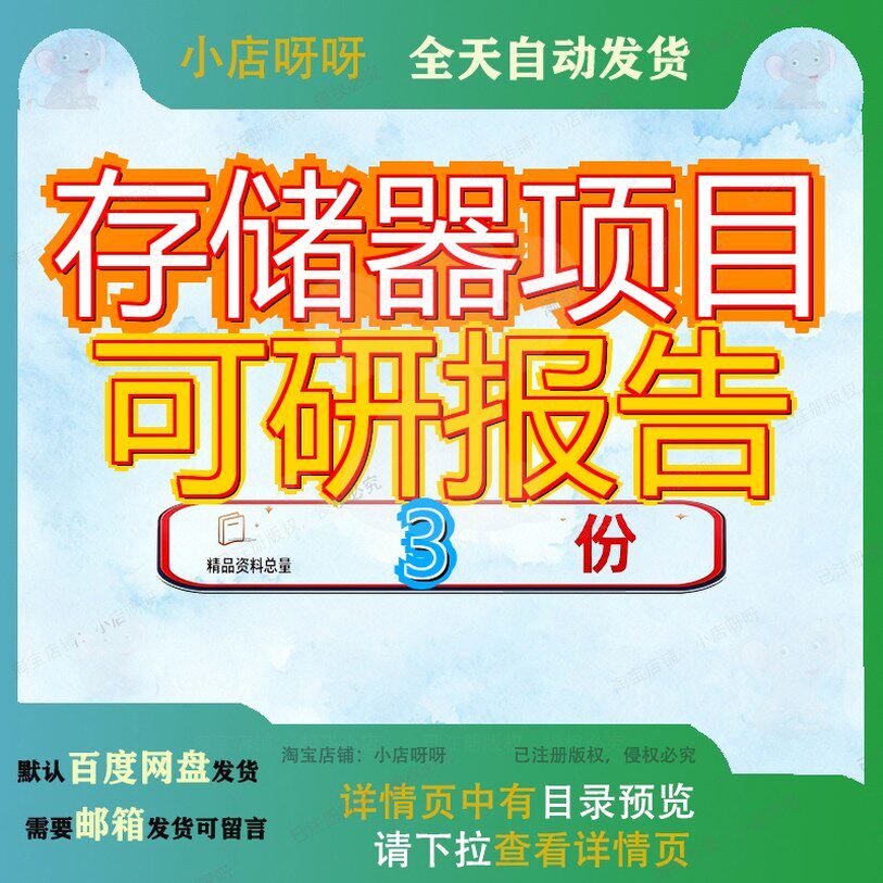 存储器项目可研报告 素材参考范本模板资料大存储器项目可研报告