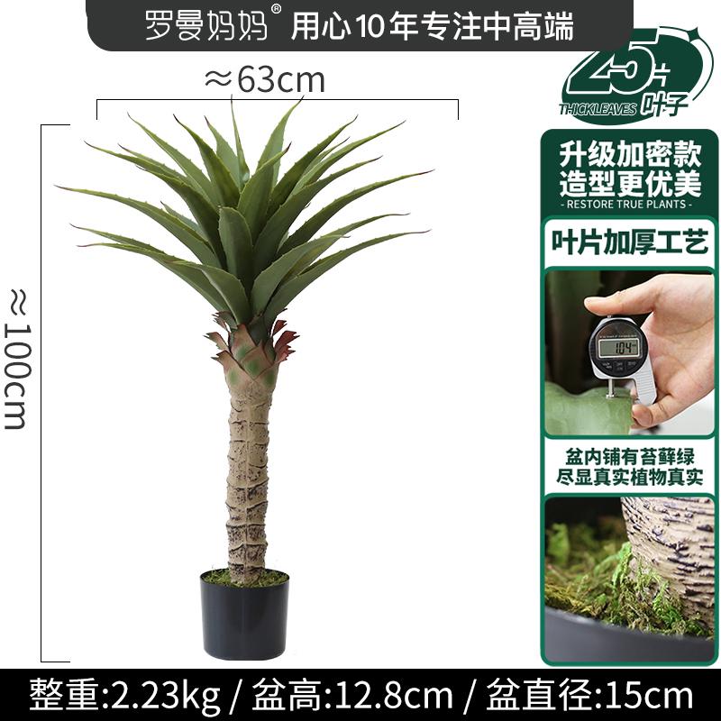 北欧ins绿植龙舌兰盆栽多肉植物造景客厅兰凤尾橱窗落地装饰