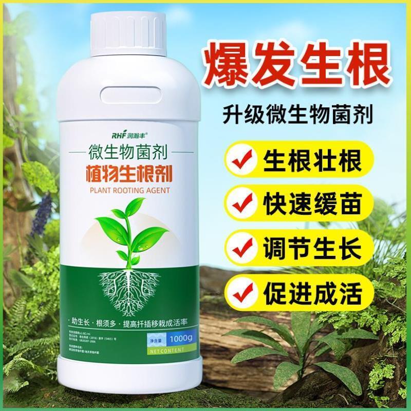 生根剂植物通用扦插用树木快速移栽生根粉发根剂液果树壮苗剂大树