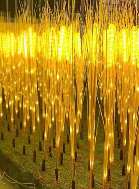 用外草坪灯美陈灯光节庭院灯亮化工程公园地插家用美陈灯led发家
