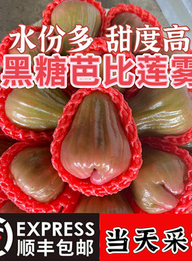 【顺丰包邮】广东黑糖芭比莲雾