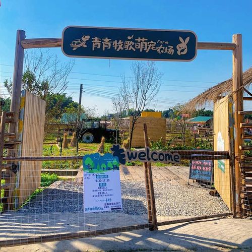 户外露营地入口大门指示牌网红小院农场大门创意原木门头定制拱门