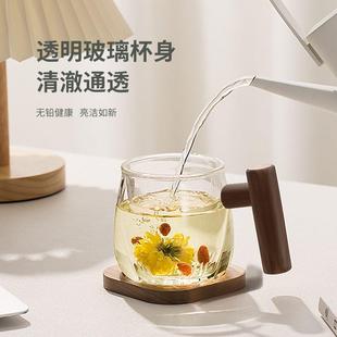 木笙玩物茶水分离泡茶杯子玻璃耐高温家用水杯高颜值花茶杯简约女