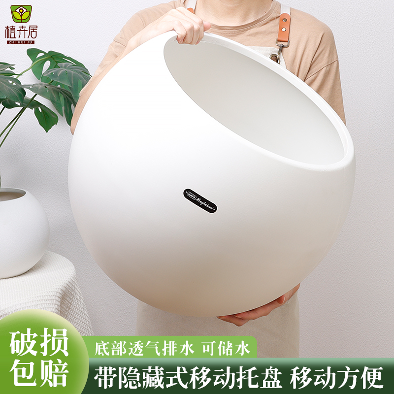 大口径绿植花卉通用花盆室内创意