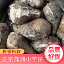 广西正宗荔浦小芋头仔粉香软糯槟榔芋香芋红芽毛芋子芋艿新鲜蔬菜