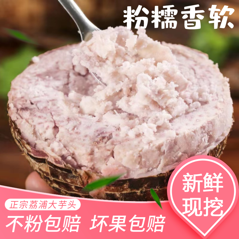 广西正宗荔浦大芋头新鲜桂林本地香芋泥烘焙商用批发槟榔芋旗舰店