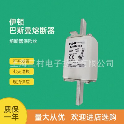 全新原装快速熔断器保险丝170M4240 170M4241 170M4242 170M4243
