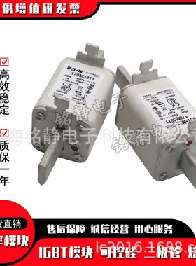 170M3808D 170M3809D 170M4863D 170M4864D巴斯曼170M4865D熔断器