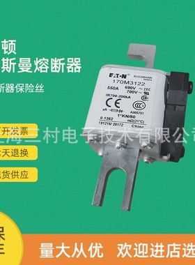 全新原装快速熔断器保险丝170M3108 170M3109 170M3110 170M3111