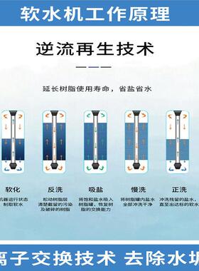 自来水过滤器阻垢过滤器自动冲洗全屋中央软化水家用中央软水机