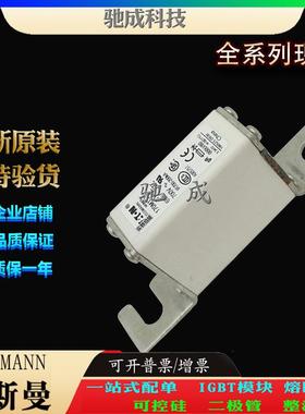 巴斯曼170M1322 170M1358 170M1359 长期厂价销售 快熔保险丝