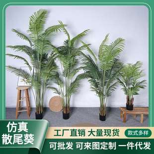 饰落地盆栽凤尾葵现货绿植 仿真凤尾葵全机做绿植盆栽散尾葵家居装