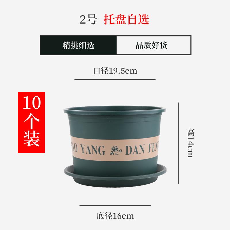 新款矮胖加仑花盆二代绿月季多萝肉大口径加厚塑料根三代控圆花盆