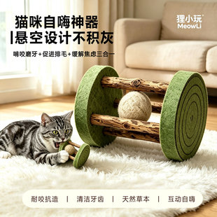 木天蓼滚筒猫玩具天然猫薄荷草虫瘿果自嗨磨牙洁齿耐咬解闷成幼猫
