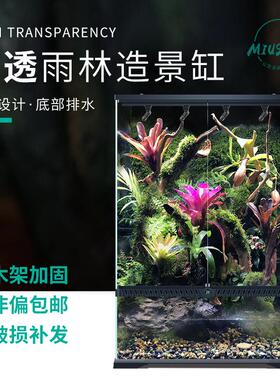 MIUS妙思雨林缸造景超白玻璃箱热带雨林植物动物饲养箱水族用品