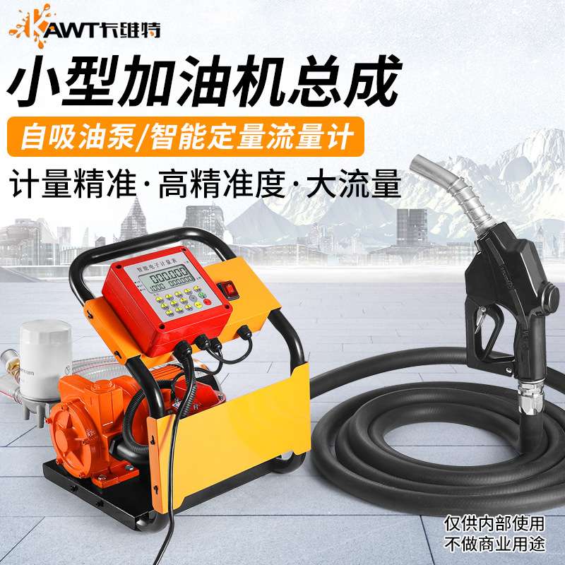 新款加油机12V24V220V车载大流量柴油抽油泵定计量计价小型总成