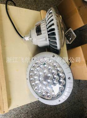 DC9210防震型投光灯.LED防爆灯