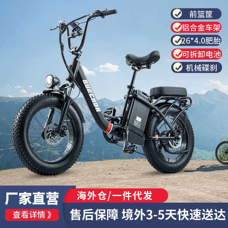 海外代发通勤电动自行车成人双人骑行可拆卸电池长久续航宽大肥胎