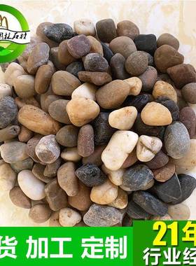 现货五彩石水磨雨花石彩色多规格石园林景观卵石铺路石子鹅卵石子