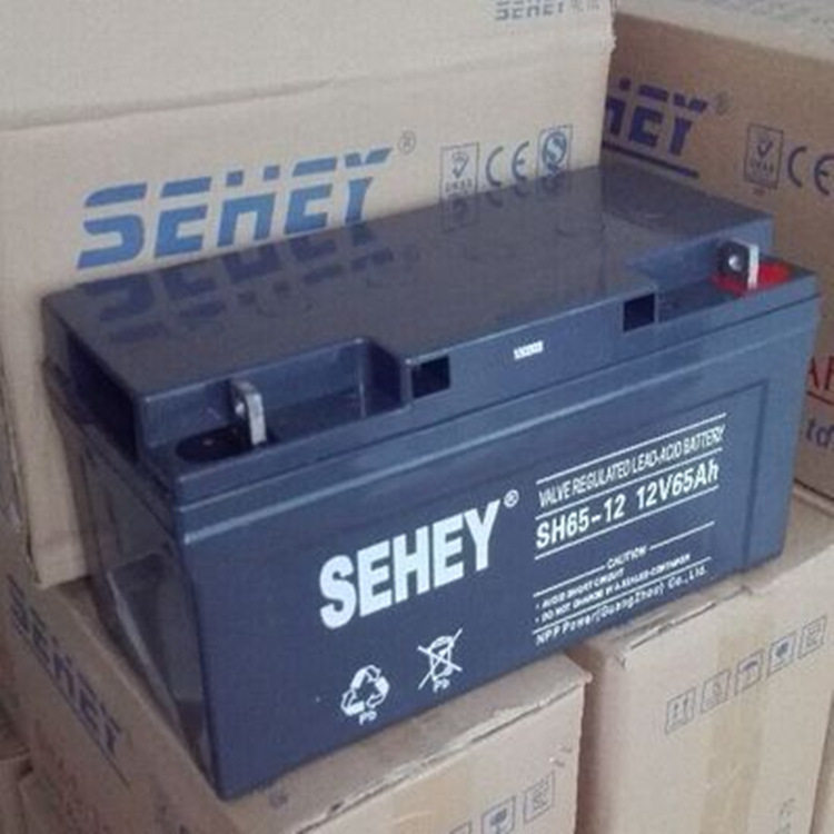 SEHEY西力蓄电池SH65-1265AH200A150A120A100A38A24A17A